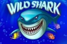 Играть в Wild Shark от пин ап казино